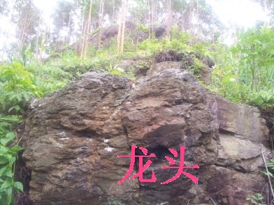南宁五塘寻龙点穴