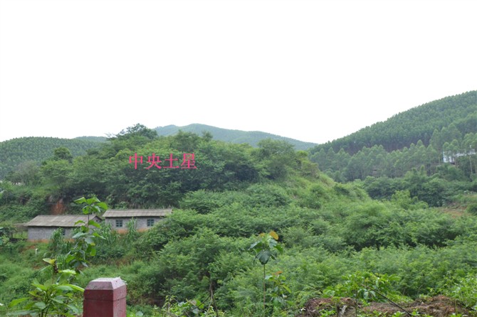 南宁五塘寻龙点穴