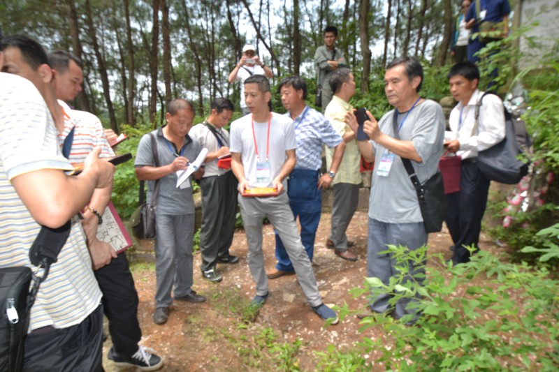 黄俊文师傅对曾国藩祖父曾竞希坟的风水考察点评