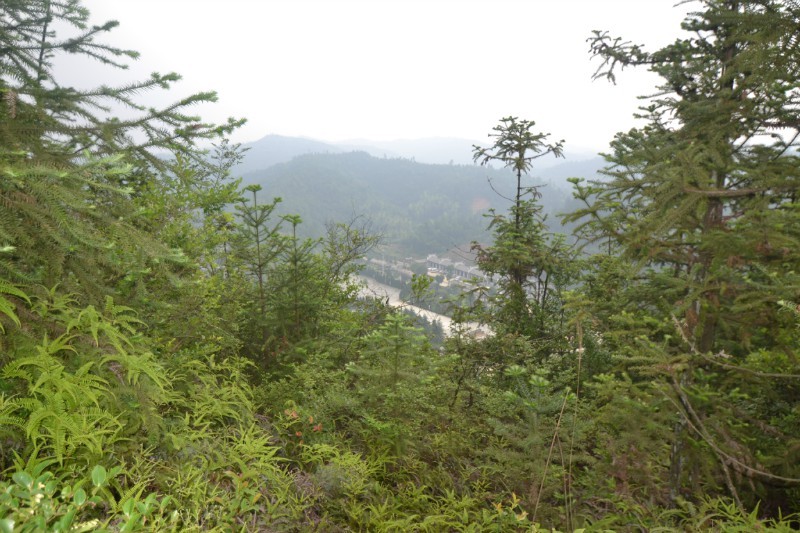 黄俊文师傅对胡耀邦曾祖父坟风水考察点评