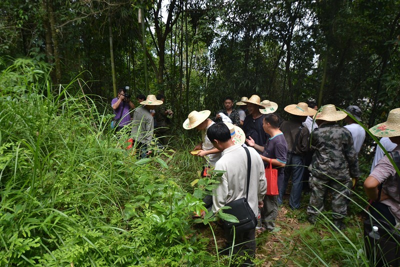原全国政协副主席李兆焯老祖坟风水点评