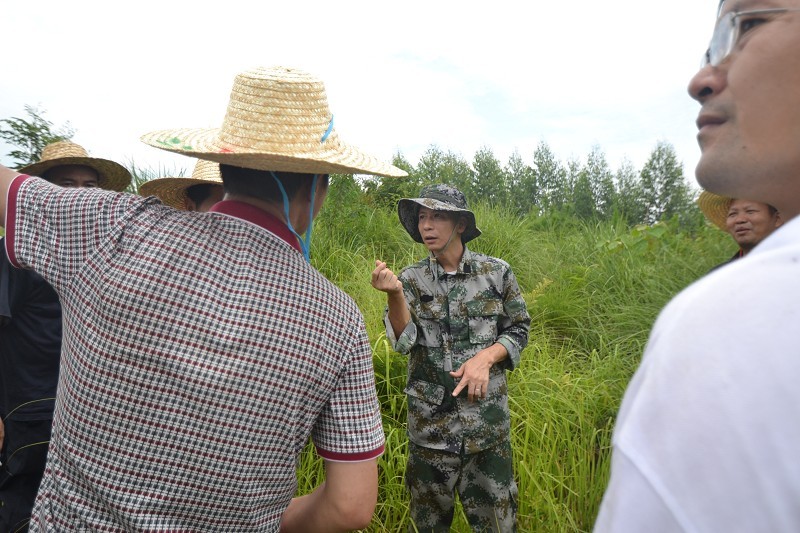 南宁风水网 广西风水网 原全国政协副主席李兆焯父亲坟风水点评