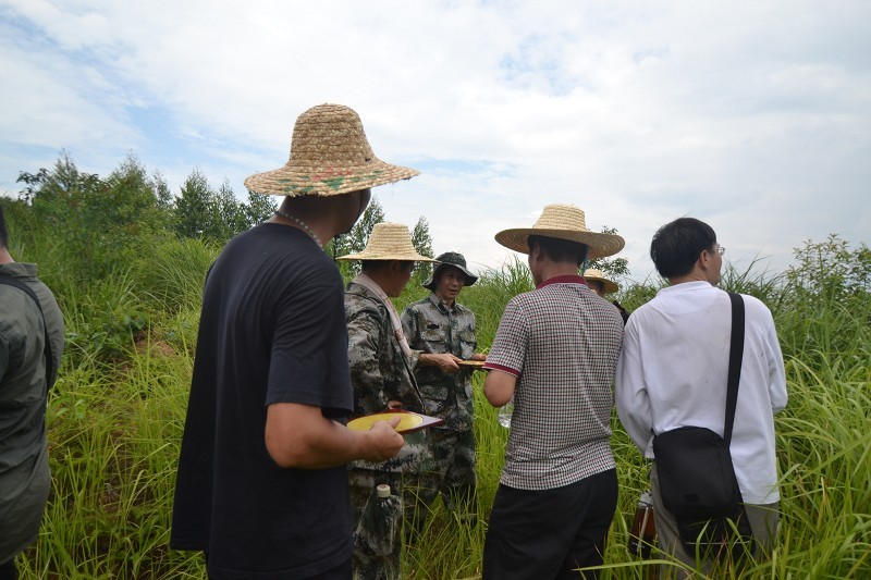 南宁风水网 广西风水网 原全国政协副主席李兆焯父亲坟风水点评