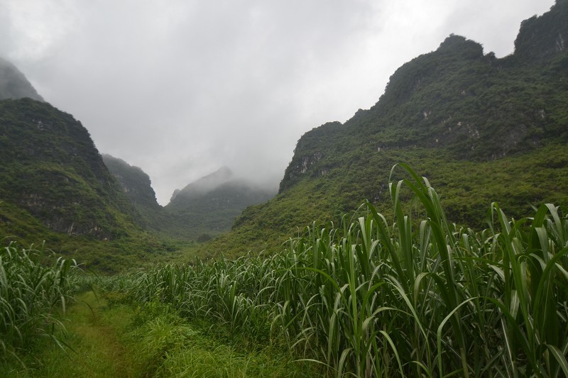 平果天葬坟墓风水点评