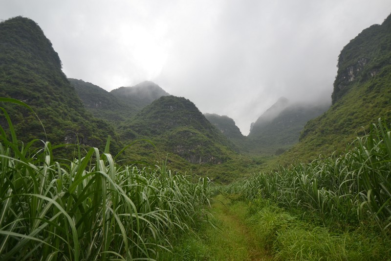 平果天葬坟墓风水点评