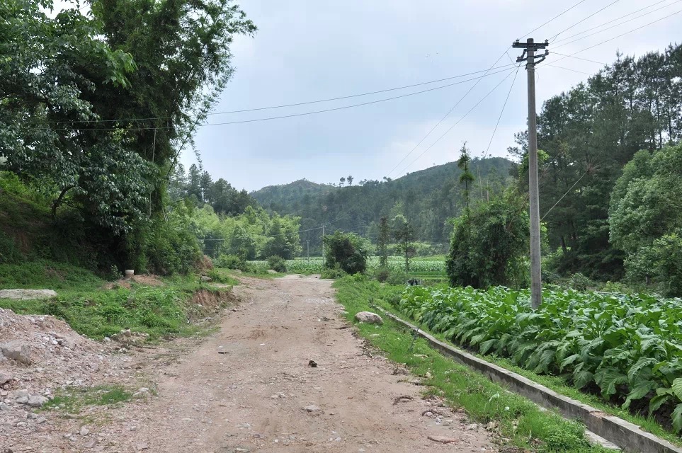 风水国师廖均卿墓风水点评