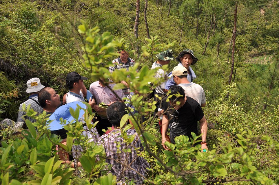 风水国师廖均卿墓风水点评