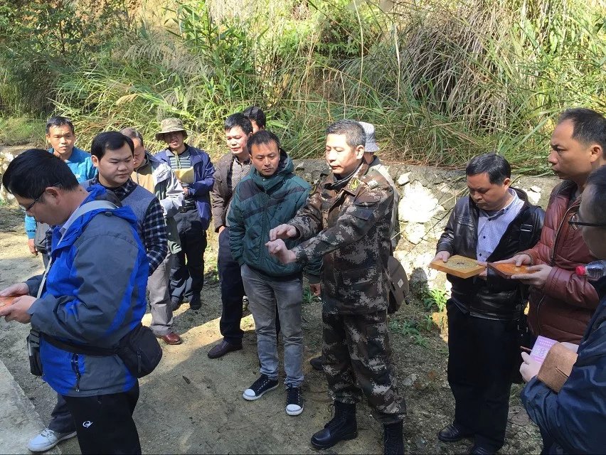 杨公三元地理风水一脉传承(黄字班)培训招生喜讯