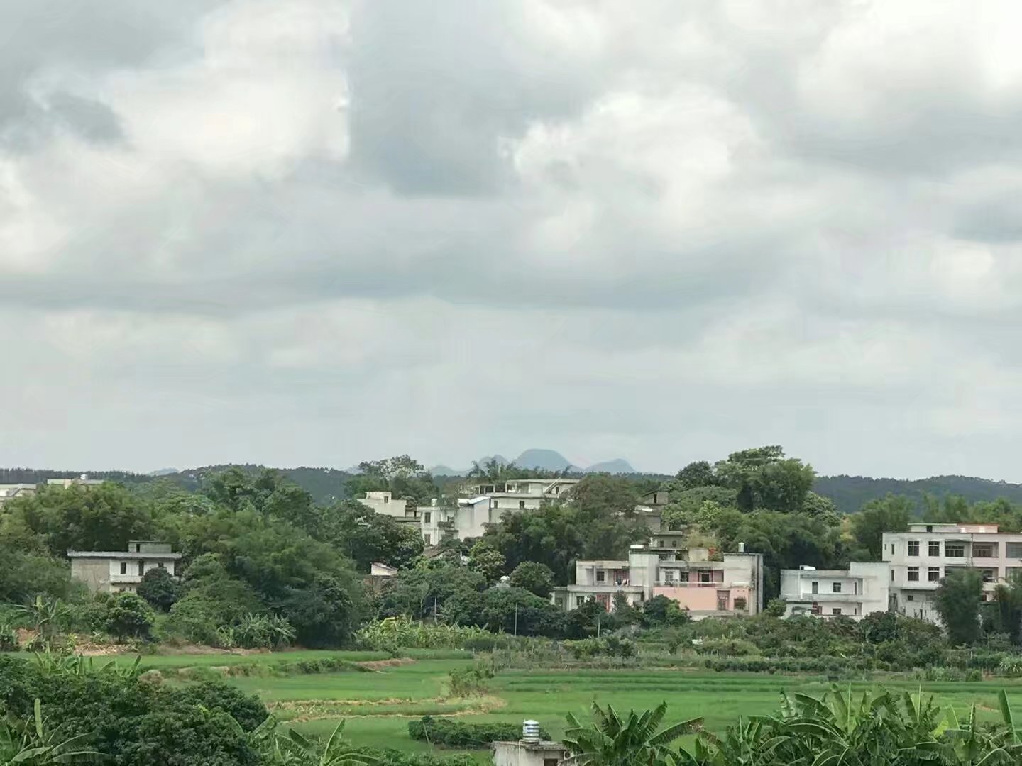 桂系杨公风水部队轻而易举地揭开了堪称风水中的极品