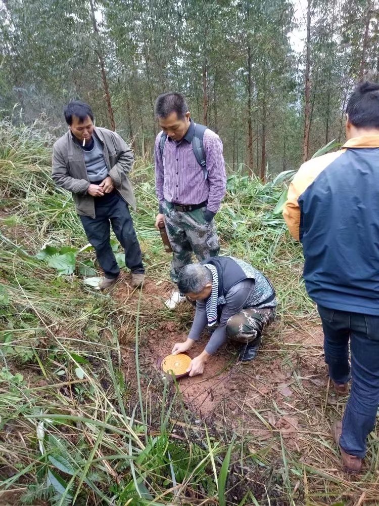 黄俊文老师为东家断坟迁坟